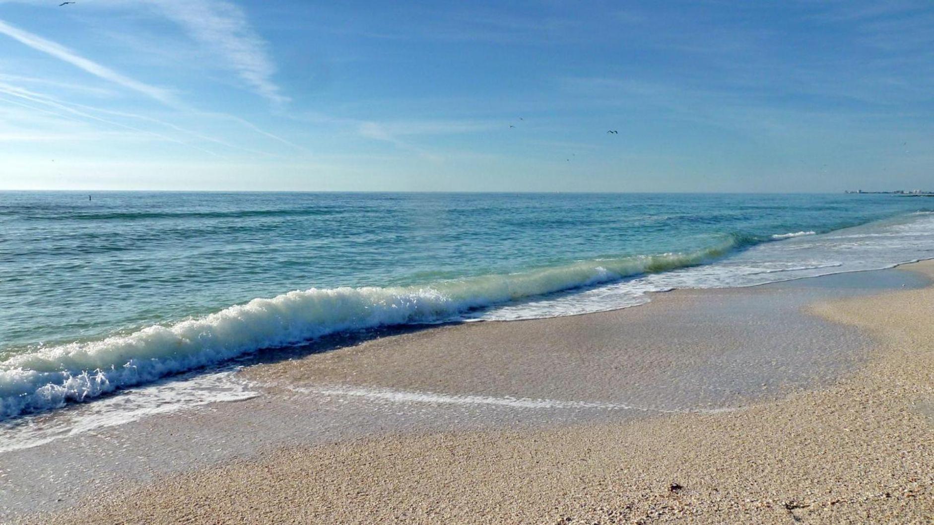 Harbourside 7716- Splash On The Rocks Clearwater Beach Extérieur photo